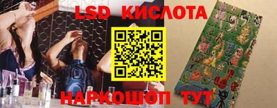 a pvp Кандалакша