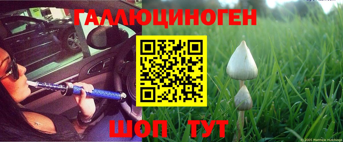 Псилоцибиновые грибы MAGIC MUSHROOMS Одинцово