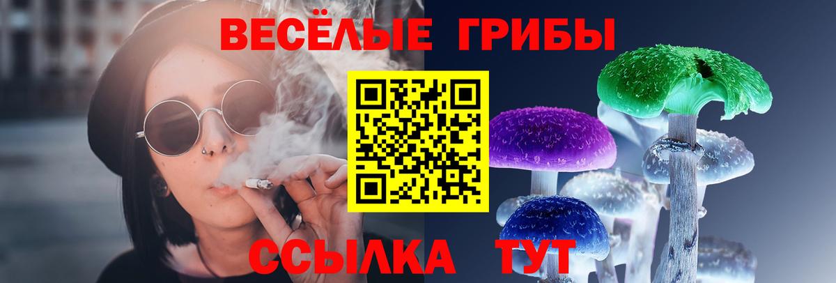 Одинцово  Галлюциногенные грибы прущие грибы  Вход с VPN  Галлюциногенные грибы ЛСД 